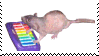 rat jamming